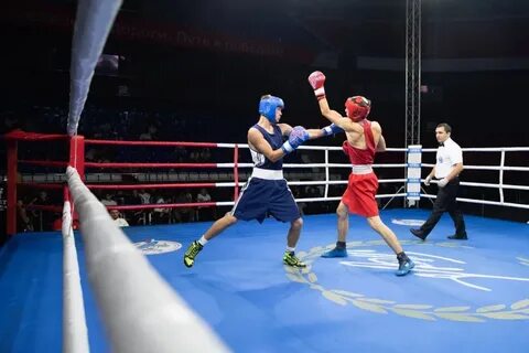Бокс краснодар