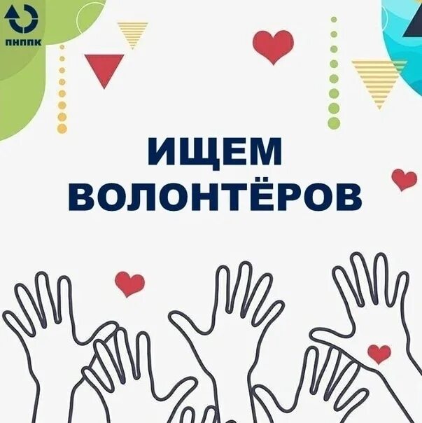 Ищем волонтеров. Ищем добровольцев. Ищем волонтеров картинки. Ищем волонтерс. Волонтеры помогать готовы