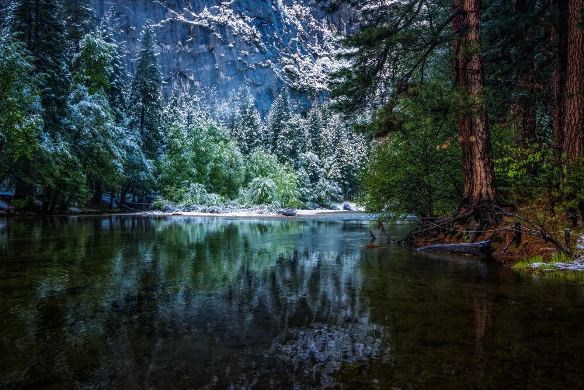 Красивый лес с рекой. Река Мерсед. Река Мерсед, Калифорния. Природа. Горная река.