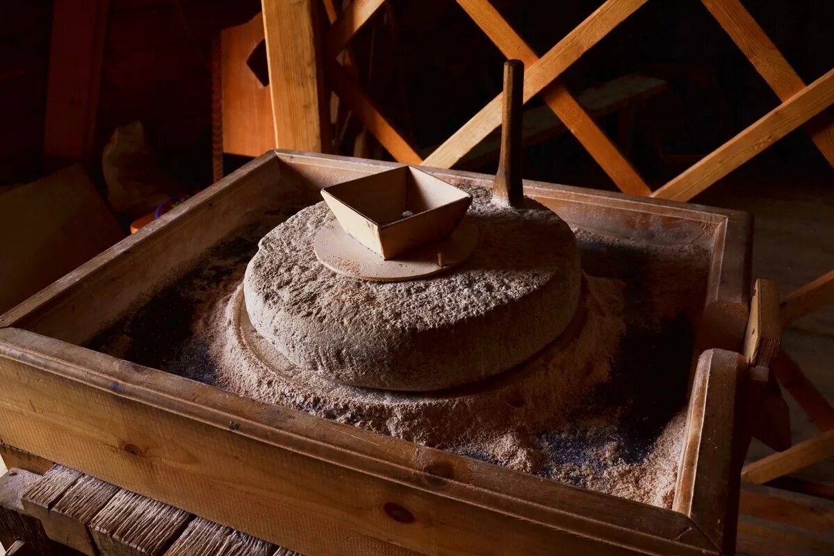 зерно перемалывают в муку.