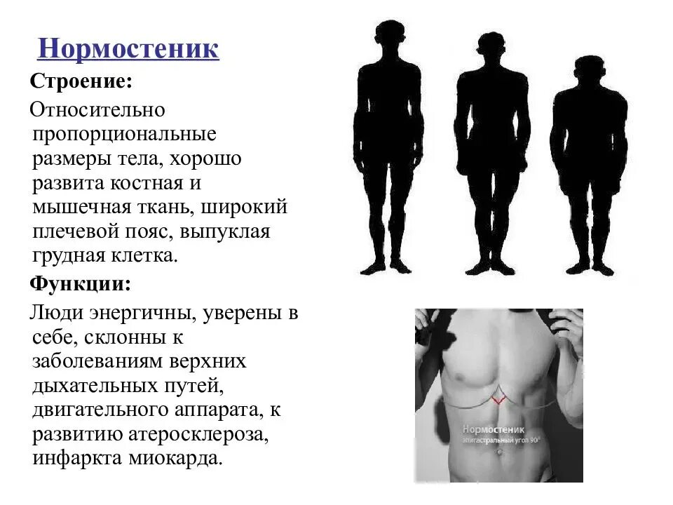 Тип телосложения гиперстеник. Тип конституции человека нормостеник. гиперстеник тип телосложения. типы телосложения астеник.нормостеник.гиперстеник. тип конституции тела нормостеник что это.