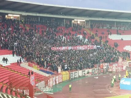 Fans support