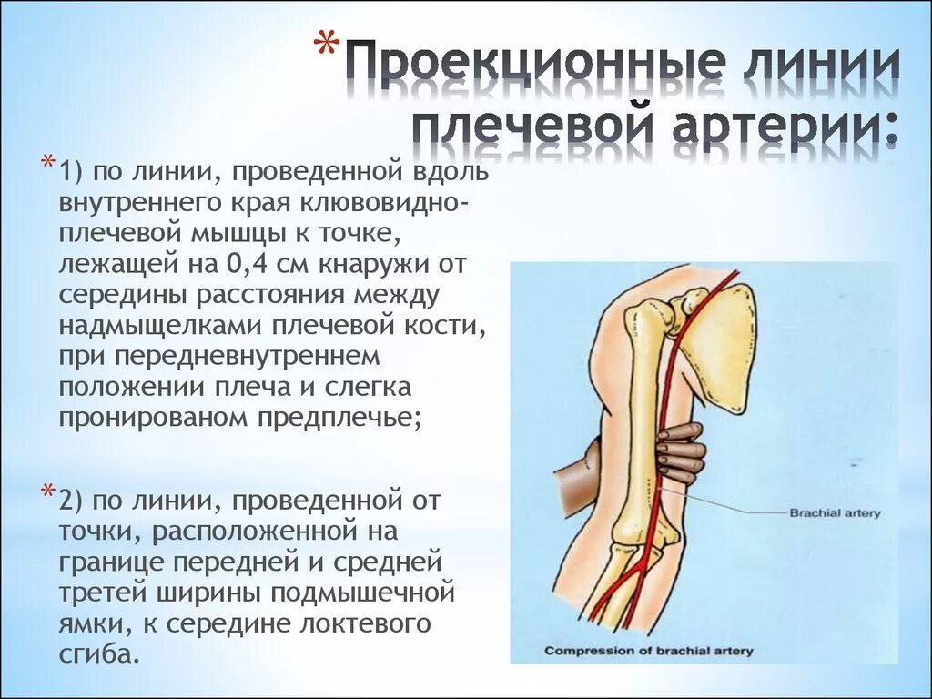 Коллатеральное кровообращение верхней конечности. Проекционные линии подкрыльцовой артерии.. Подключичная артерия верхней конечности. Проекционные линии сосудов верхней конечности. Подключичный тромбоз