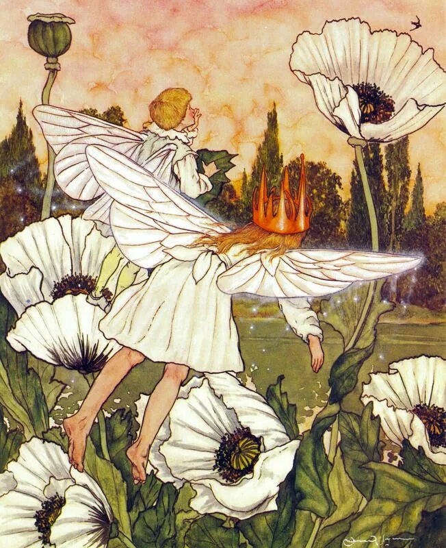 Иллюстратор андерсена. Ганс христиан андерсен оле лукойе. Валерий алфеевский иллюстрации. Иллюстратор андерсена. Адриенна сегюр алиса в стране чудес.