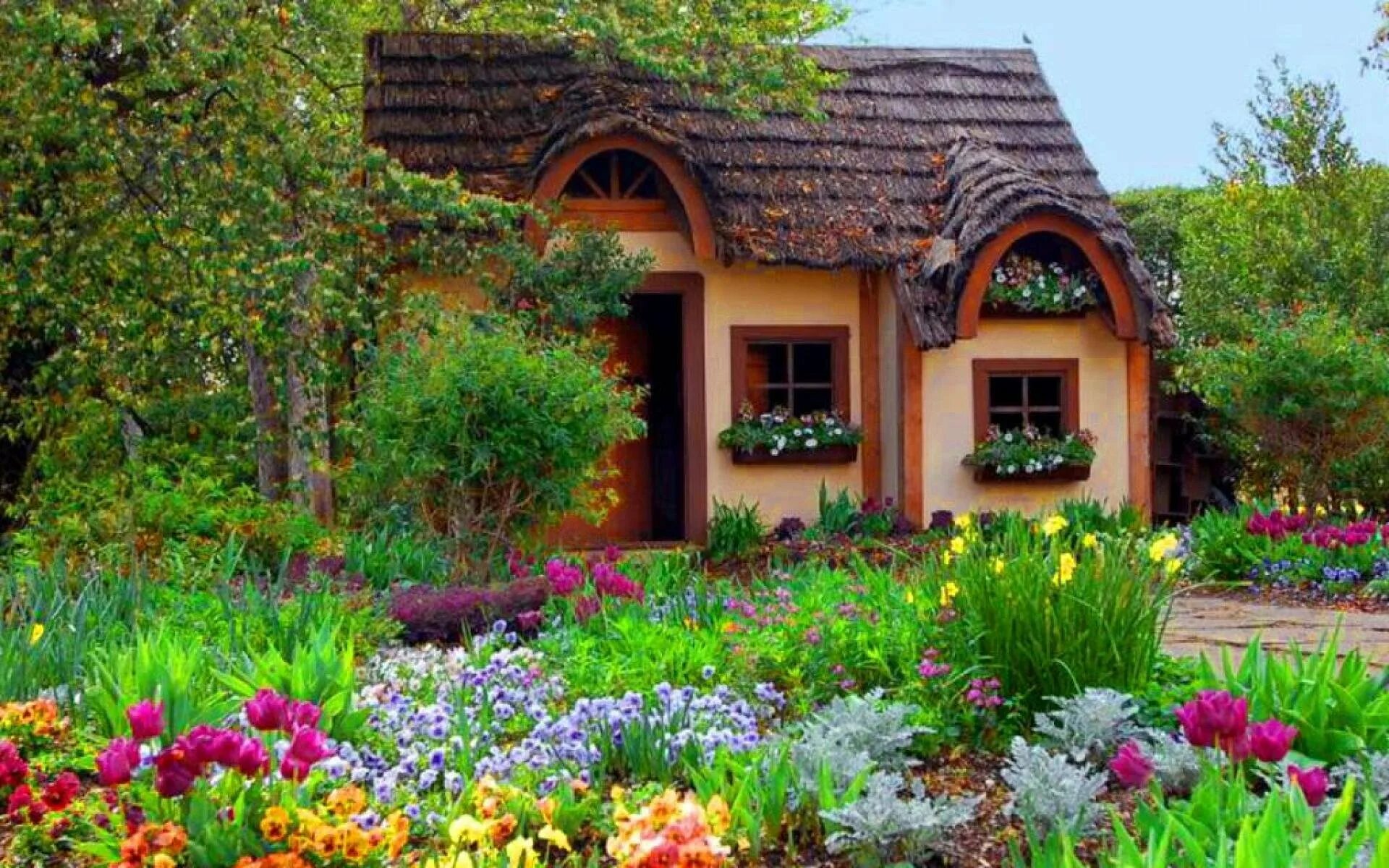 Дача фото. На даче. Садовый участок. Участок дома. Красота дома.