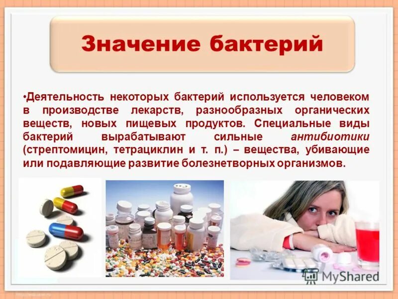 Человек использует бактерии для приготовления пышного теста. Микроорганизмы в йогурте. Молочнокислые бактерии в промышленности. Для приготовления каких напитков используются бактерии. Человек использует бактерии для приготовления пышного теста.