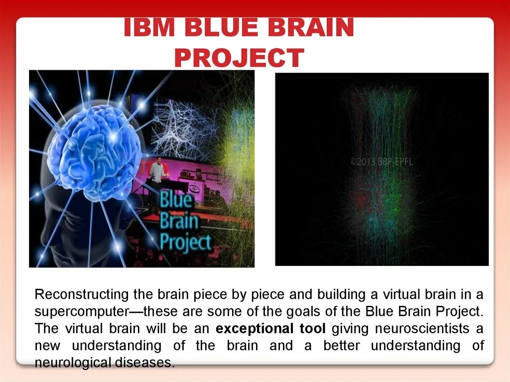 Brain project. Blue Brain Project. Blue Brain Project институт. Проект мозг Радевич. Синий мозг Мем.