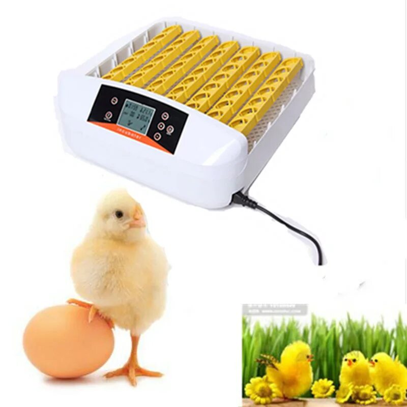 Инкубатор ЭГГ. Инкубатор HMG-GS. Fully Automatic Egg incubator. ДНС инкубатор для яиц автоматический. Купить яйца для инкубатора курей