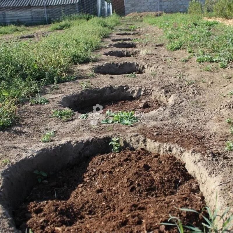 Ям можно с помощью