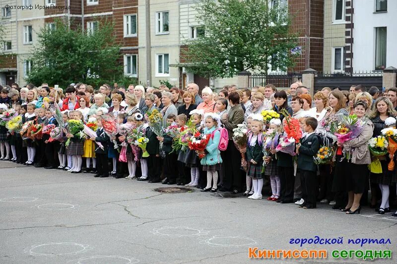 учителя школа 7 кингисепп. гимназия кингисепп. кингисеппская гимназия учителя. гимназия 7 кингисепп. кингисеппская гимназия официальный сайт.