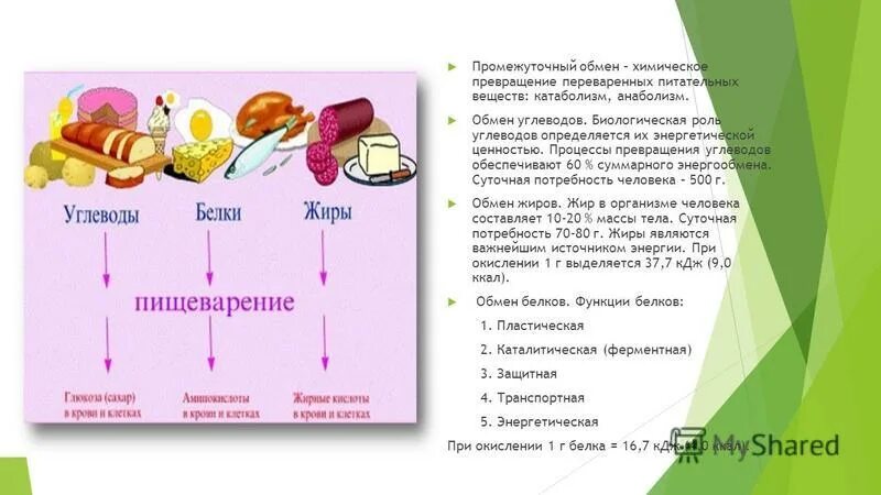 Углеводы в организме человека. Углеводон белковые продукт. Белки жиры углеводы в организме. Превращение углеводов в организме человека.