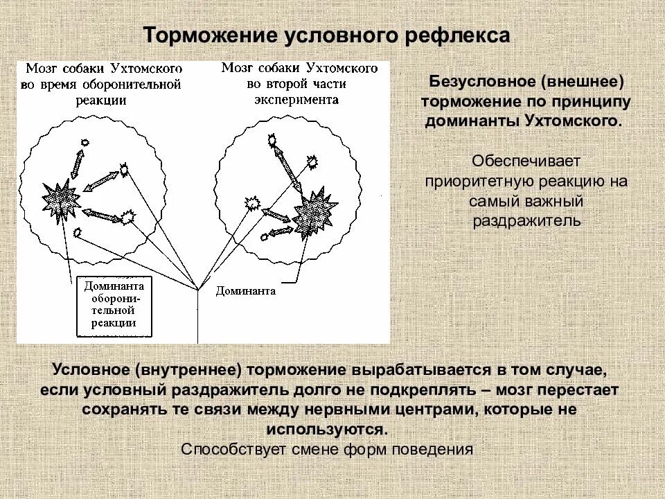 Условный тип рефлекса. Механизм внешнего торможения условного рефлекса. Торможение условных рефлексов. Условное торможение условных рефлексов. Виды внутреннего торможения условных рефлексов.