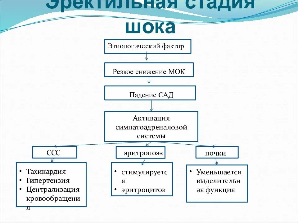 Этапы шока. Назовите клинические стадии шока:. Стадии шока патофизиология. Для первой фазы шока характерно. Фазы шока патофизиология.