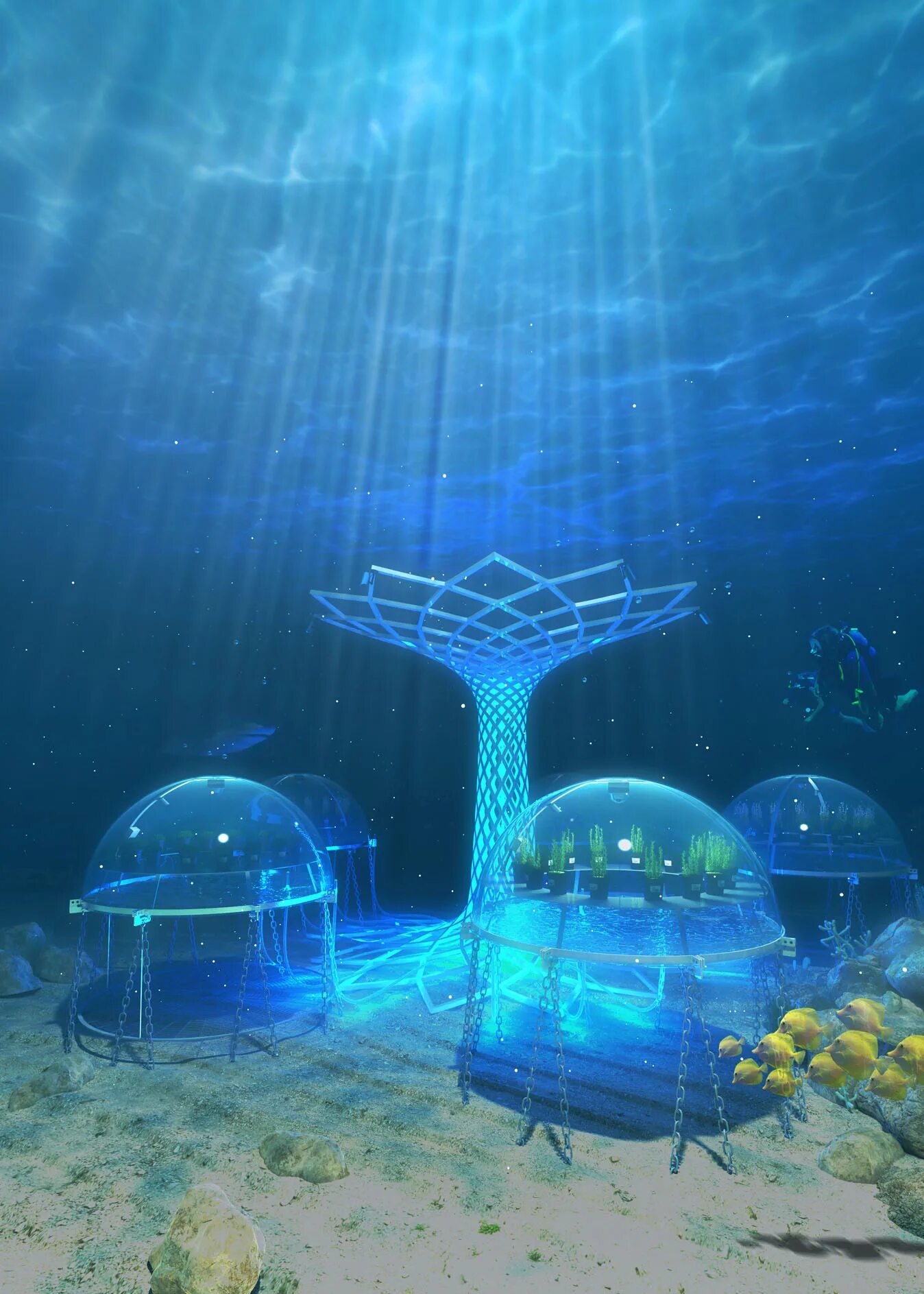 Nemo s transit expansion