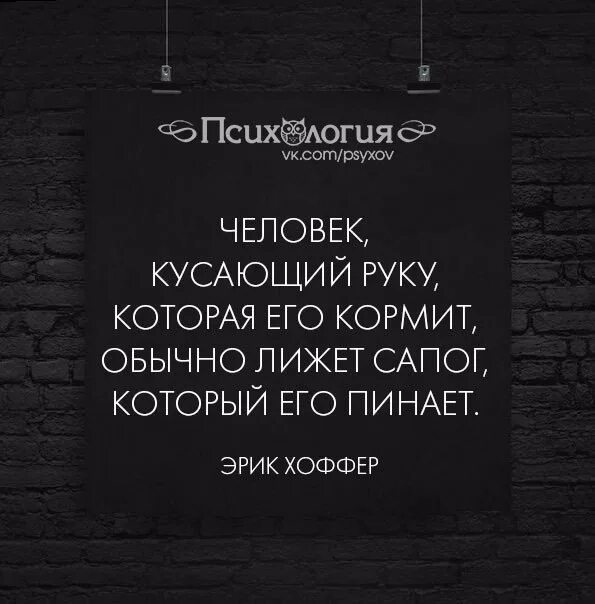 Бывший лижет. Человек кусающий руку которая его. Человек кусающий руку которая его кормит. Не кусай руку. Кусать ту руку что кормит его.