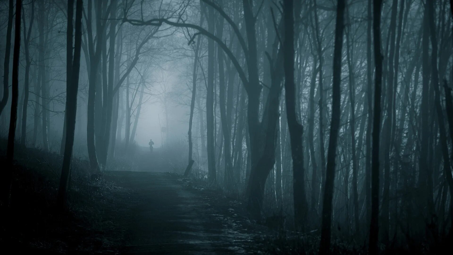 Темный лес сумеречный лес. Темный лес twilight forest. темный лес твайлайт. сумеречный лес сумерки. мрачный фон.