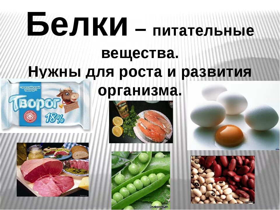 Какими питательными веществами богаты продукты каждой группы