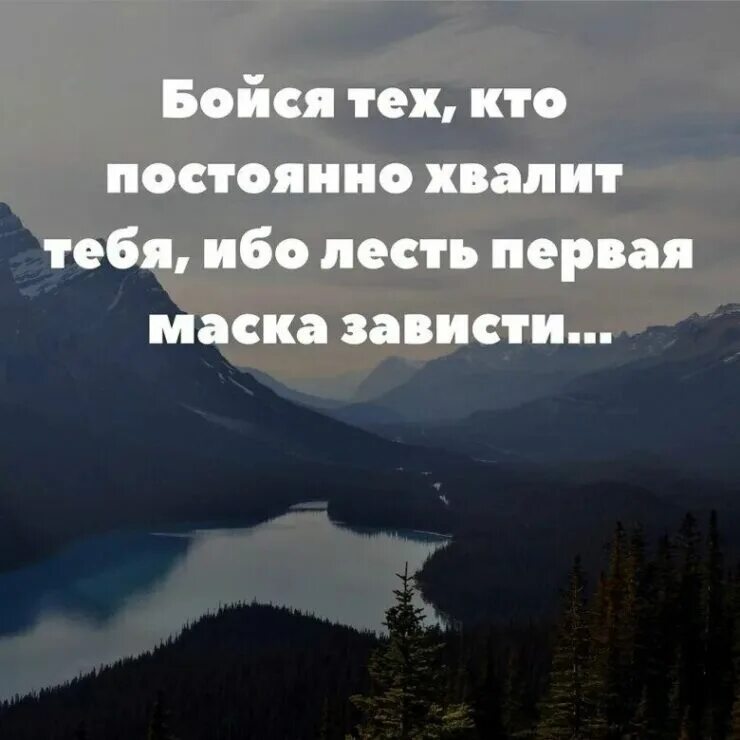 Статус действует. Цитаты со смыслом. Афоризмы про зависть. Высказывания про зависть. Зависть цитаты.