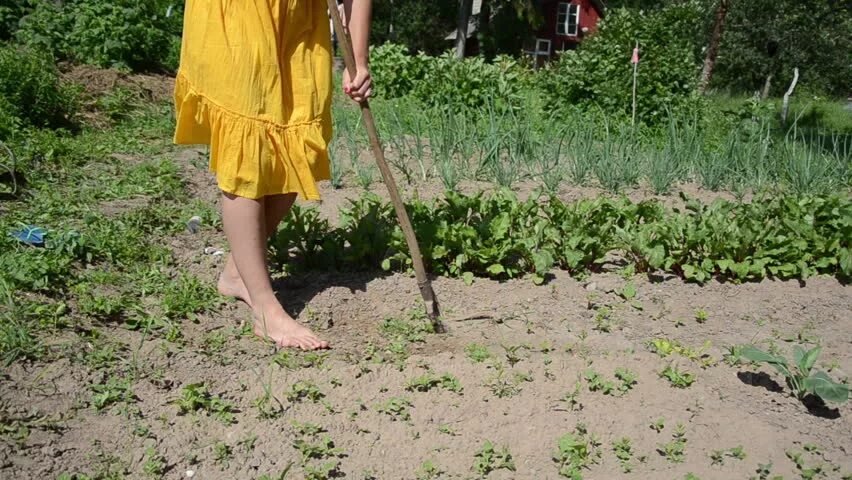 Босиком в огороде. Полоть грядки. Женщина на грядке. Босиком на грядках.