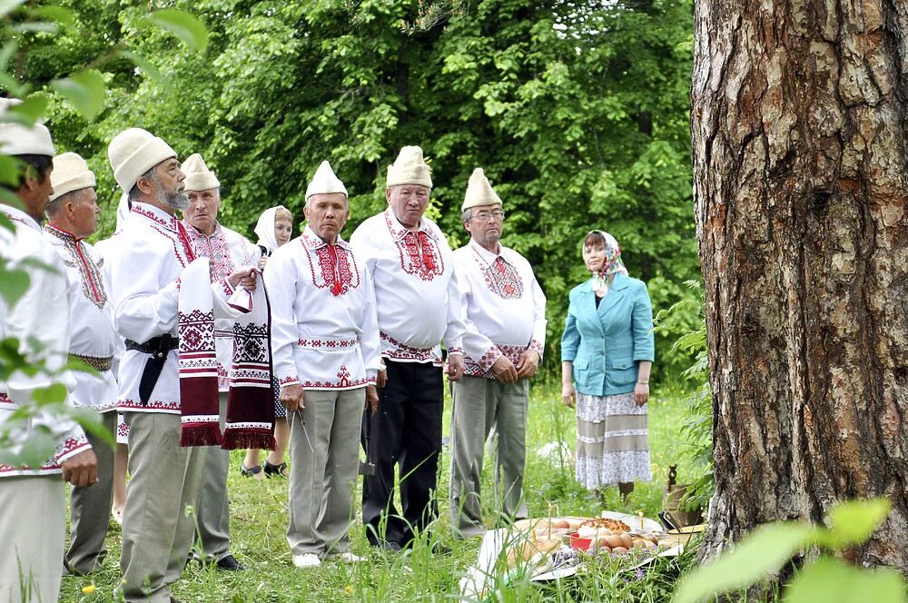 Священные Рощи Марий Эл. Священные Рощи марийцев. Марийские Рощи в Марий Эл. Кумалтыш Марий Эл.