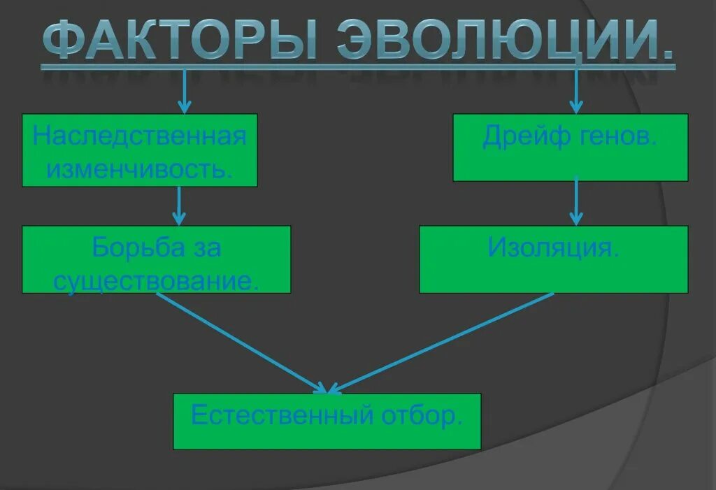 Факторы эволюции таблица. Элементарные факторы эволюции. Факторы эволюции схема. Элементарные эволюционные факторы. 3 основных фактора развития