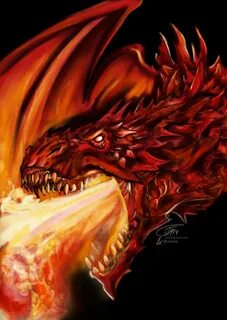 Dragons having