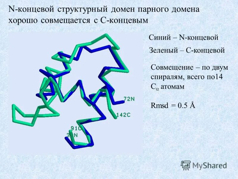 Классификация доменов