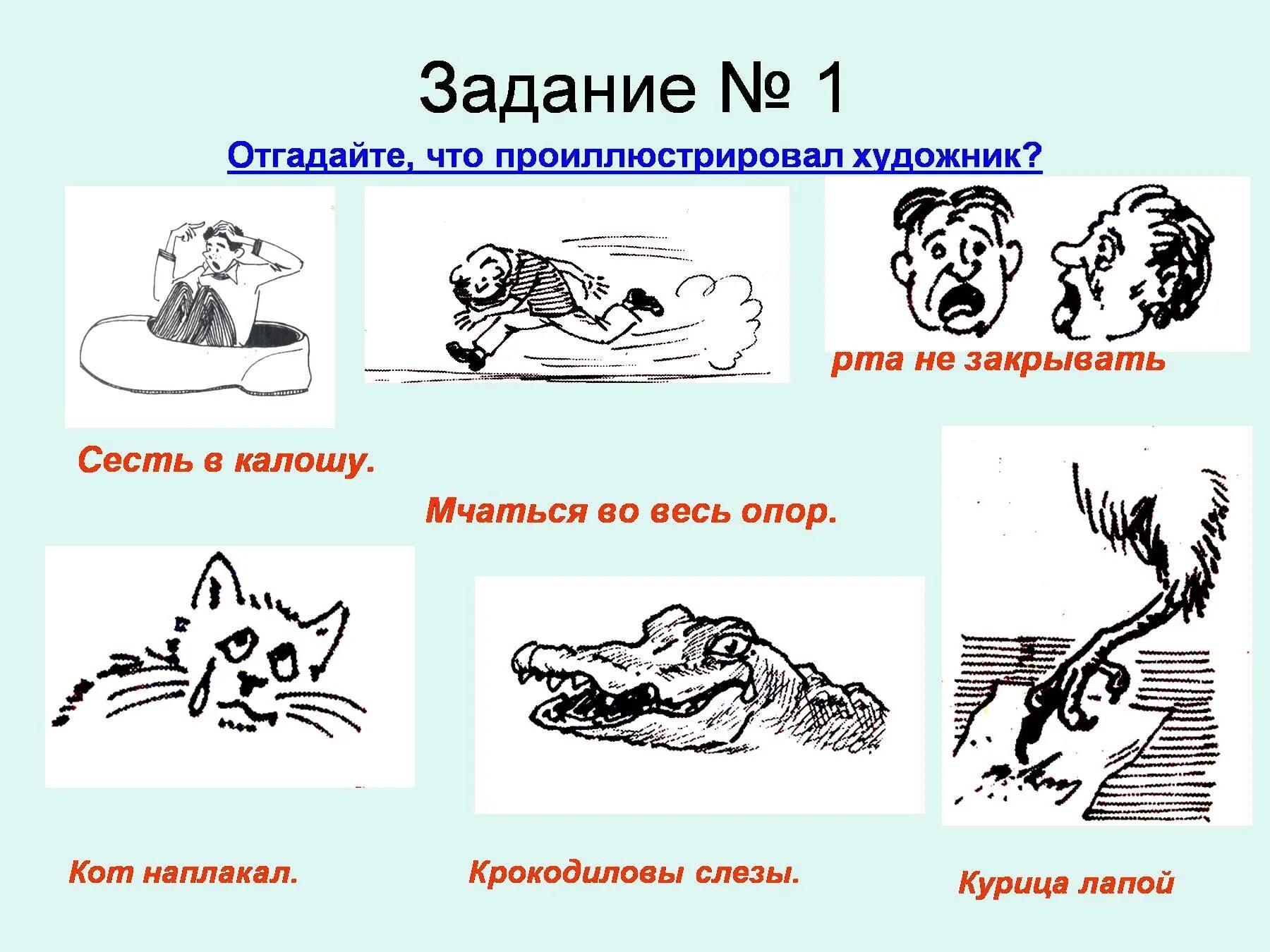 Фразеологизмы в жизни человека. Фразеологизмы рисунки. Рисунок с фразиологизму. Иллюстрация к фразеологизму. Рисунок на тему фразеологизмы.