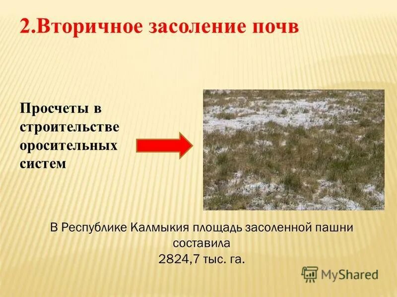 республика калмыкия почвы. заповедник черные земли. республика калмыкия почвы. засоление почв в калмыкии. почвенная карта калмыкии.