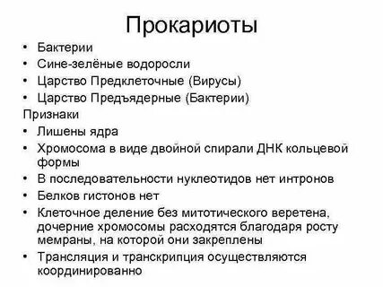 Прокариоты бактерии и сине зеленые водоросли