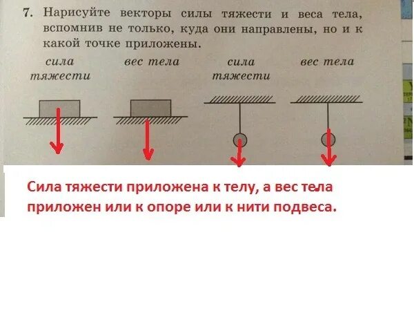 Какому телу приложен вес тела. Нарисуйте векторы силы тяжести и веса. Векторы силы тяжести и веса тела. Вектор силы тяжести. Вектор силы тяжести и веса.