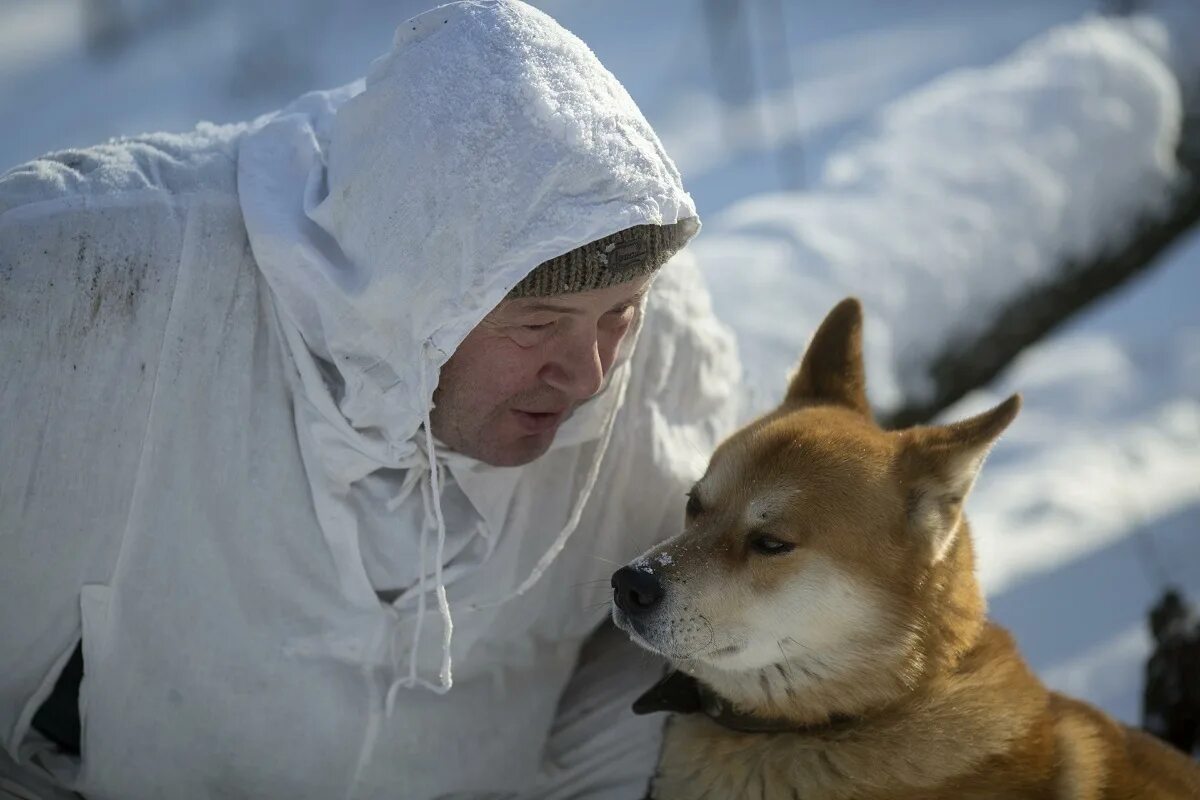 Якут собака. Собаки в Якутске. Собака спасла жизнь хозяину, приведя к нему спасателей в Якутии. Пёс привёл спасателей к хозяину и спас ему жизнь в Якутии.. Собака привела медведей к хозяину