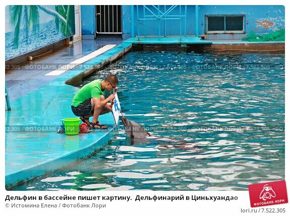 Писает в бассейн. Не писать в бассейн.