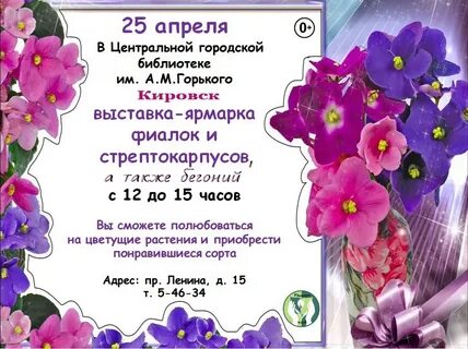 Выставки фиалок в спб в 2024 году