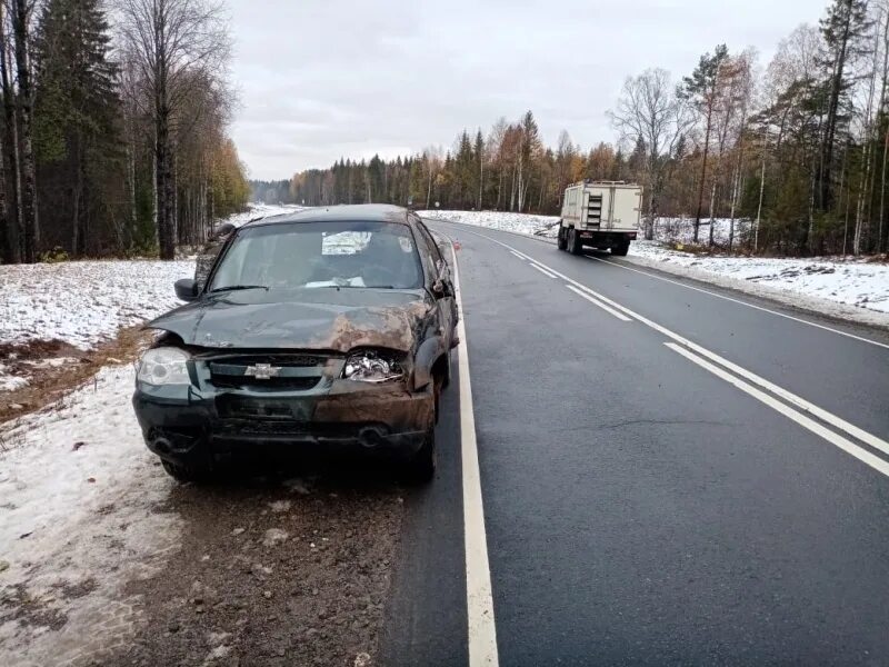 Погода в вытегре на месяц. Трасса Вытегра Медвежьегорск.