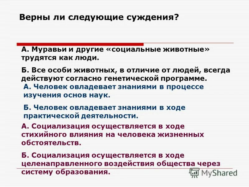 Верно ли суждение работодатель осуществляет