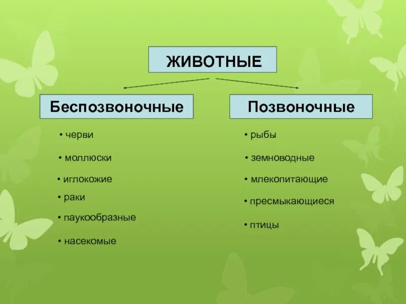 К группе беспозвоночных относится. Позвоночные и беспозвоночные животные. Позвоночные без пазваночные животные. Какие животные относятся к беспозвоночным. Позвоночные и беспозвоночные животные 3 класс.