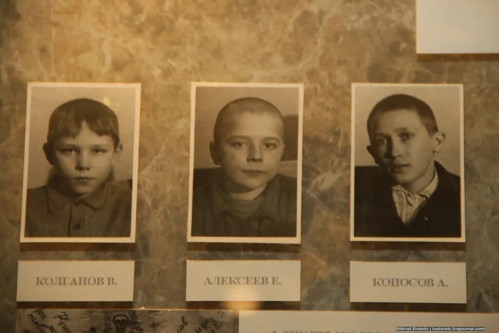 банда черная кошка. дело митина. дело митина. дело митина. дело митина.