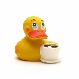 Star ducks