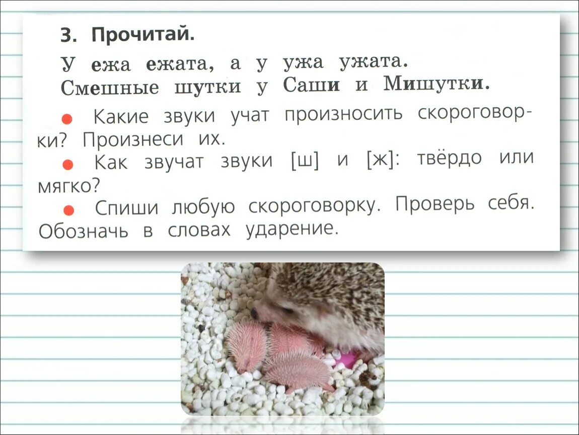 Ежа количество звуков. Задания по русскому языку по шипящим. Шипящие согласные звуки. Тема шипящие согласные звуки 1 класс. Шипящие свистящие согласные звуки 1 класс.