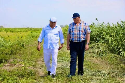 Кфх дагестан