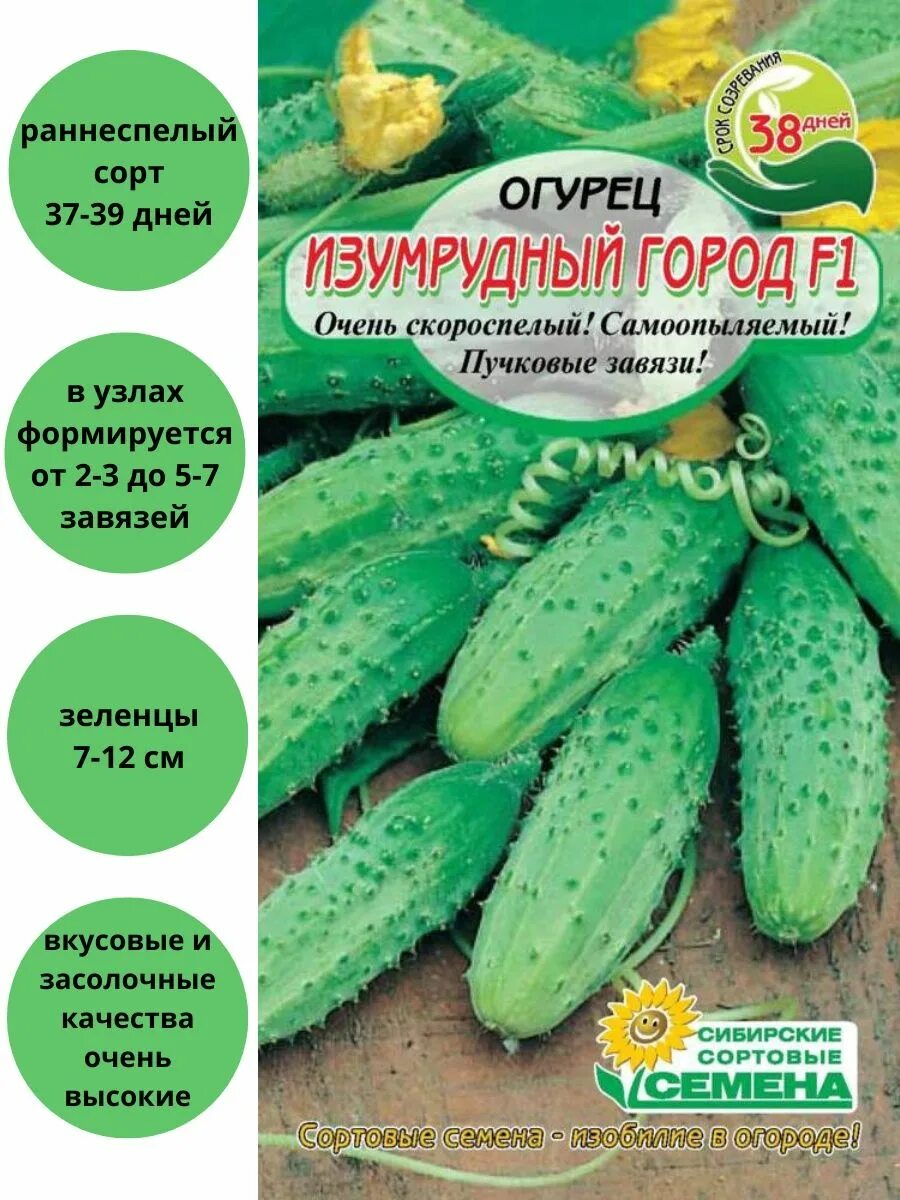 Огурец изумрудный город f1 10шт манул. Изумрудный город сорт огурцов. Огурец изумрудный город. Огурец изумрудный город f1 10шт манул. Семена огурец изумрудный город f1.