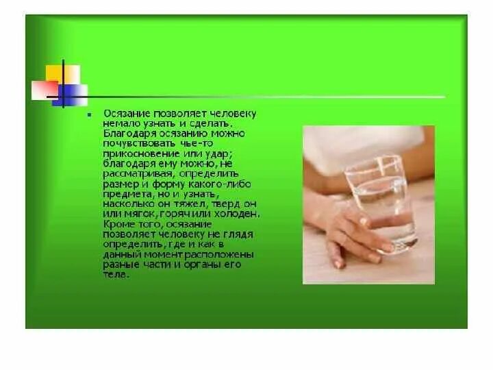 Орган осязания 3 класс окружающий. Органы осязания презентация. Орган осязания обоняния 3 класс. Доклад на тему осязание. Кожа орган осязания.