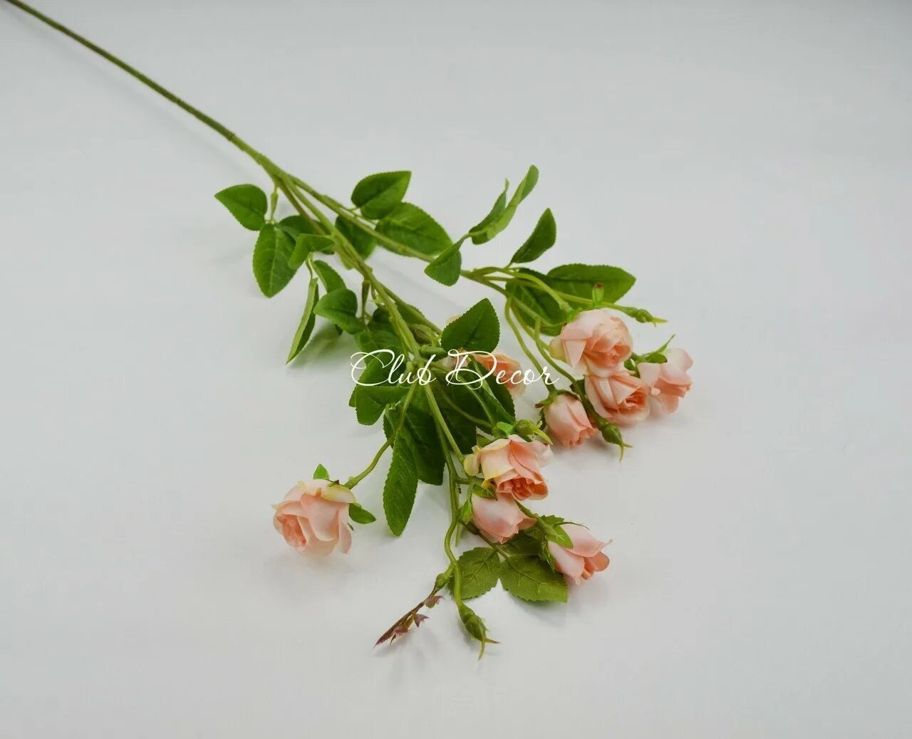 1 ветка кустовых роз. 1 ветка кустовых роз. Ветка кустовой розы. 3 веточки кустовой розы. Миниатюрные кустовые розы.