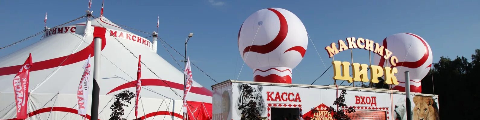 Цирк домодедово. Цирк домодедово