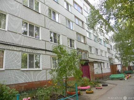 Пенза шуист авито