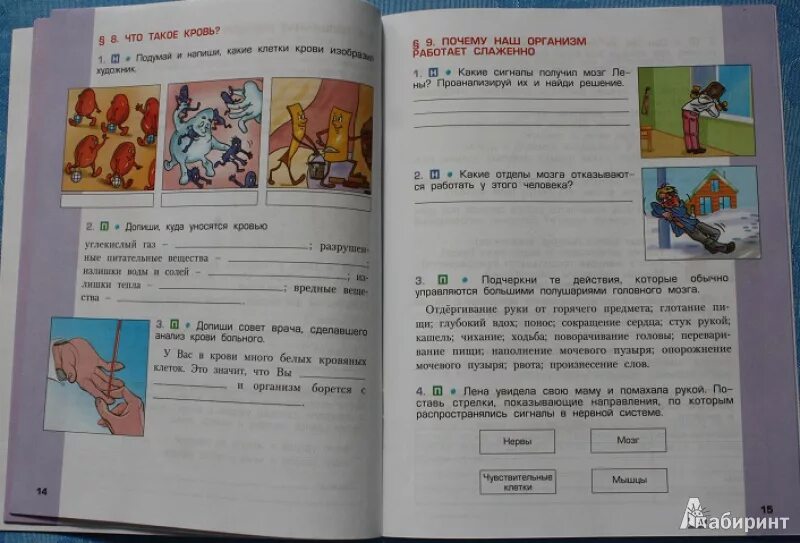 Стр 17 упр 4 окружающий мир. Окружающий 4 класс учебник. Картинка из учебника окружающий мир 4 класс.