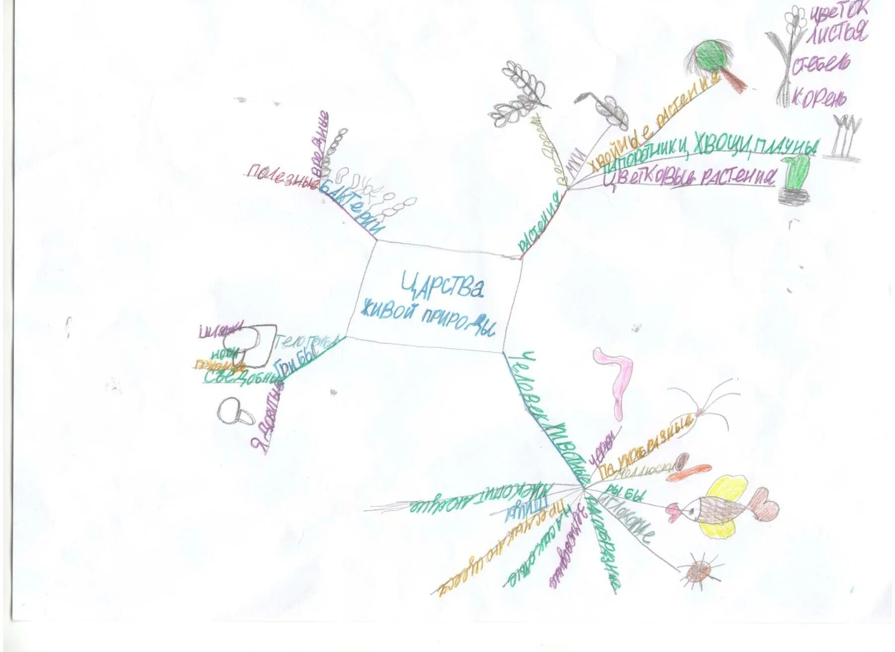 1 карта на жизнь. Интеллект карта в начальной школе. Интеллектуальные карты по начальной школе. Интеллект карта русский язык начальная школа. Интеллектуальная карта начальные классы.