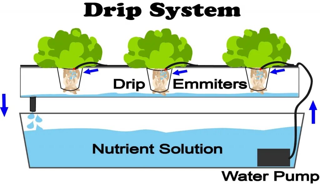 Dripping system