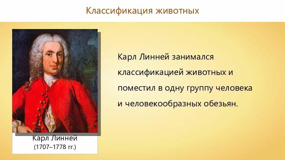 Линней классификация животных. Классификацию человека разумного Линней.